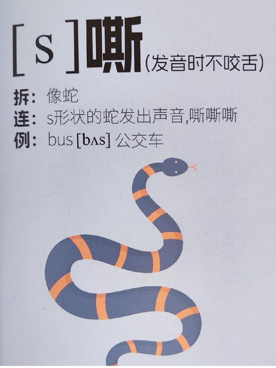 零基础学英语学音标，新概念英语每日一句

我们现在练习的是新概念英语，
每天练习