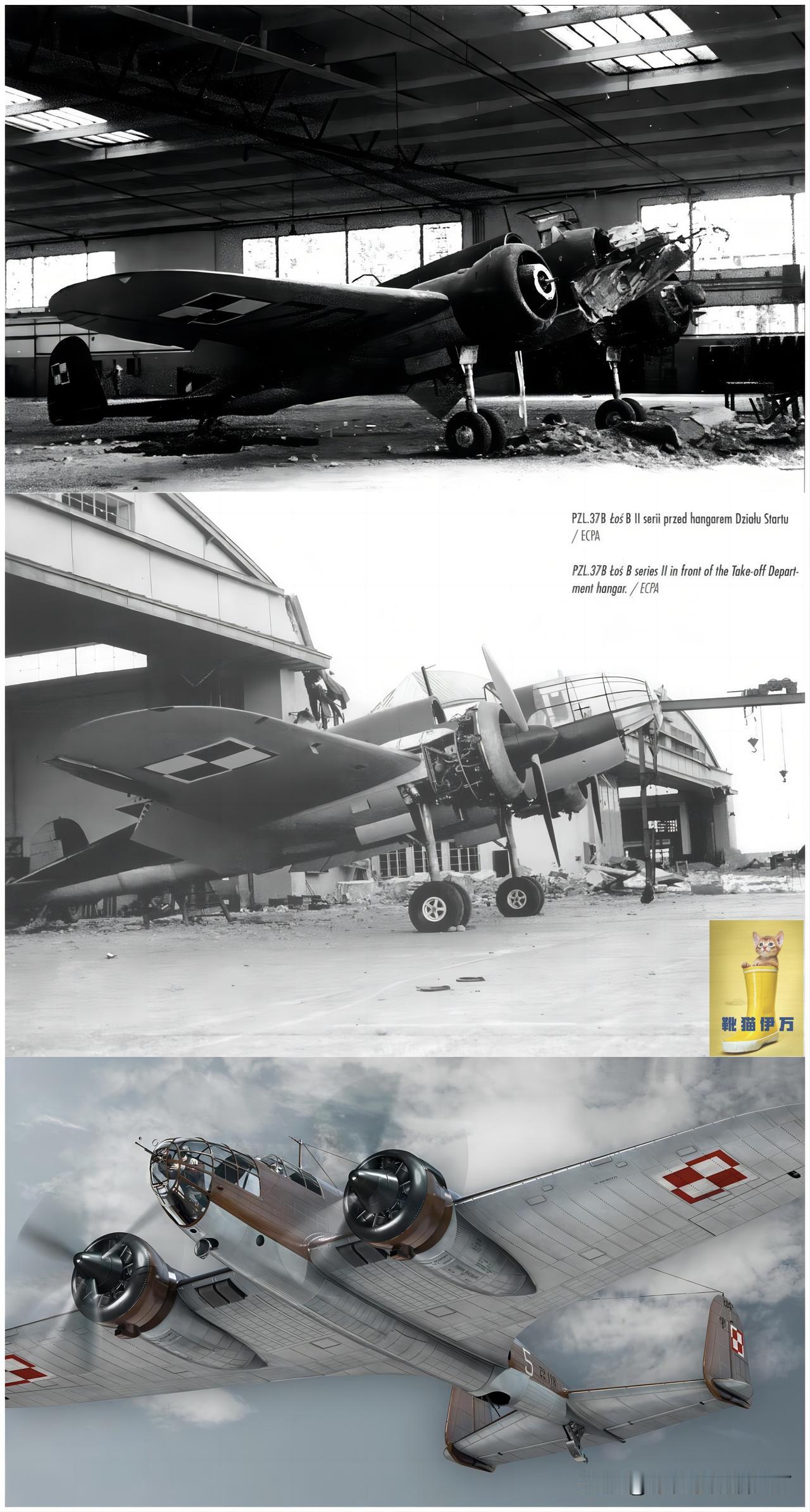 二战期间，波兰P-37B “罗斯”轻型轰炸机，未发一弹，完整地被德军缴获。
这种