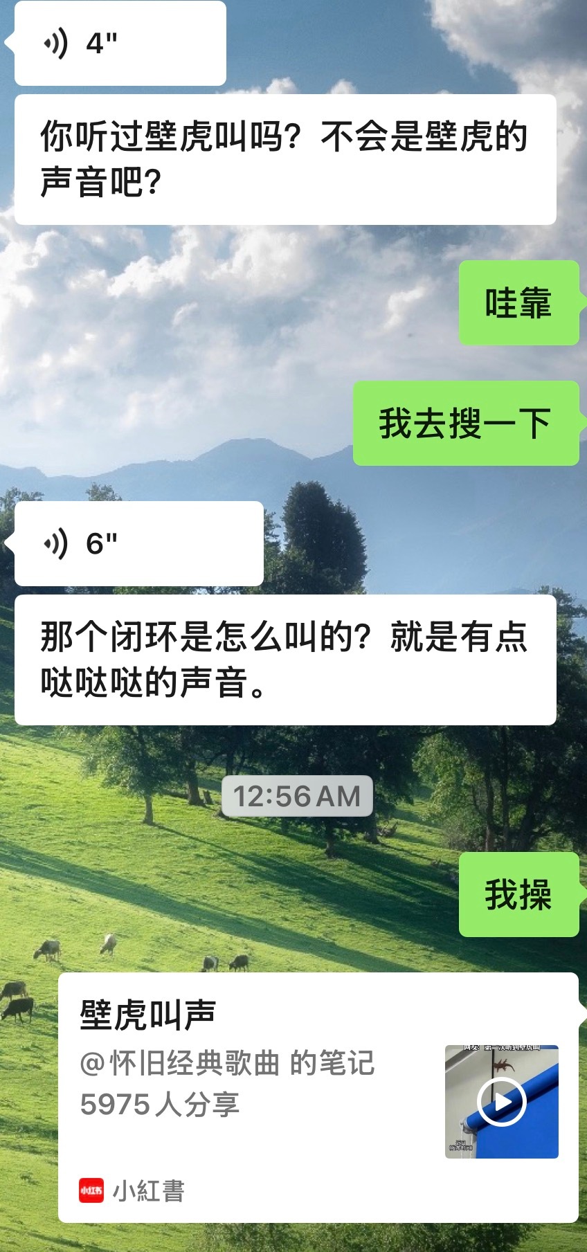 我真的b亏了，打算早睡的，结果到现在都没敢关灯
