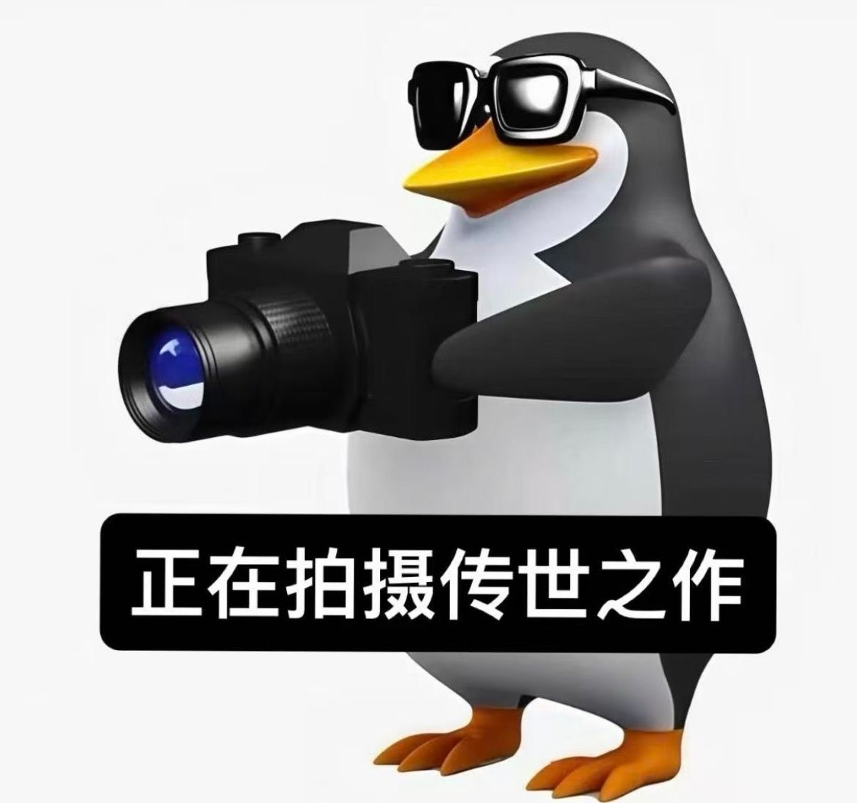 哈尔滨今年也太出片了 终于懂为啥他们说其实在哈尔滨玩真正的难点不是怎么拍，而是回