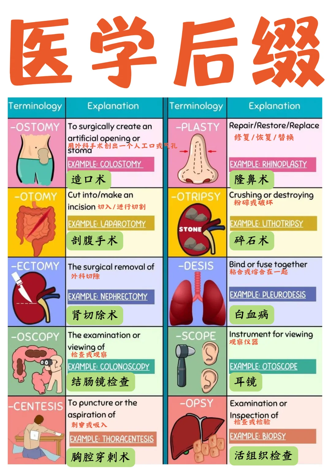 备考RN/医学后缀！！学！！单词