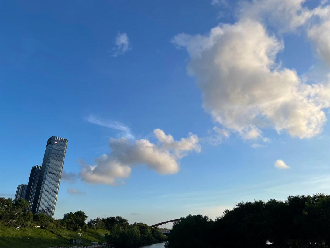 为什么K线能代表投资智慧，因为所有的交易都是先预期后兑现，只有当下是盈亏同源。阳