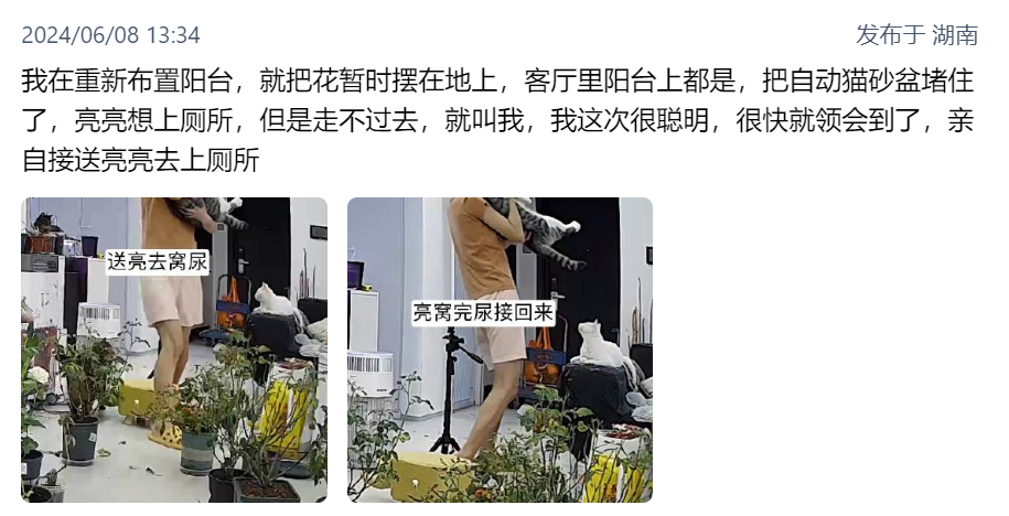 今言今语[超话] 感动小猫国 ​​​