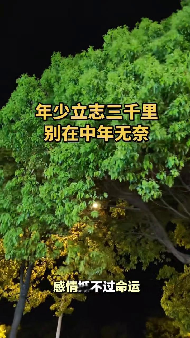 年少立志三千里，别在中年无奈。
人到中年最大的无奈就是家境撑不起梦想，能力配不上