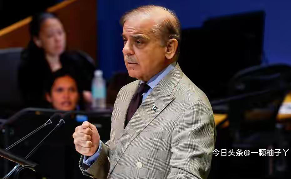 巴基斯坦总理近期在公开场合和高层通话中明确表态，强势为土耳其撑腰，直言如果有势力