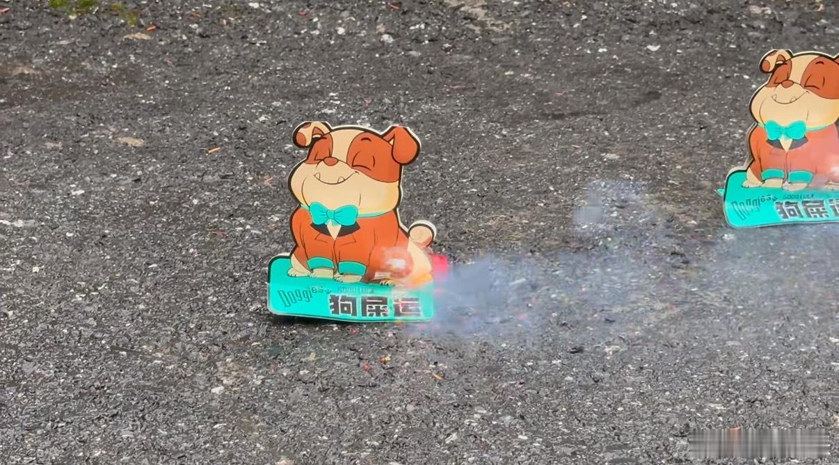 好潦草的烟花真是设计鬼才，不知道大家知不知道有个叫狗屎运的烟花，本来是奔着好奇和