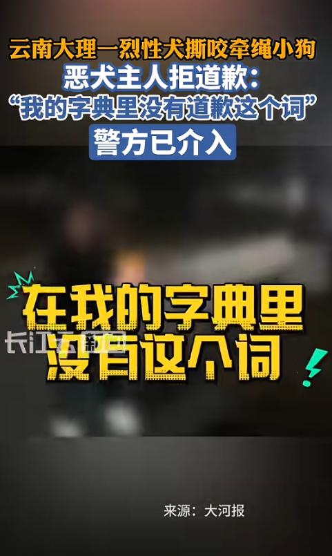 “太过分了！”4月21日，云南大理，一女子牵绳遛狗时，一只恶犬突然冲上来，死死咬