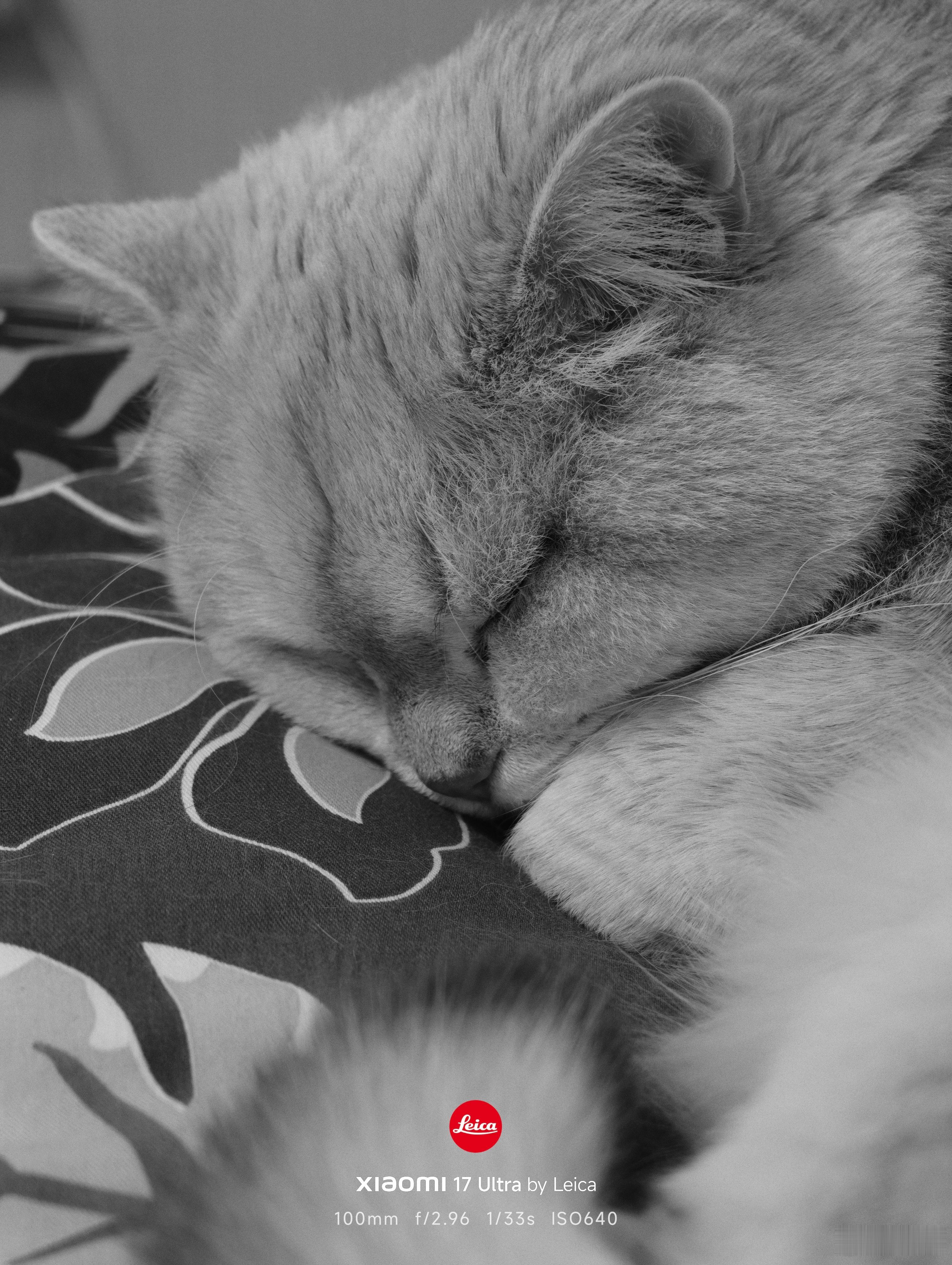 小米14Ultra的时候我特别喜欢利用光的角度拍出星芒来；小米15Ultra我几