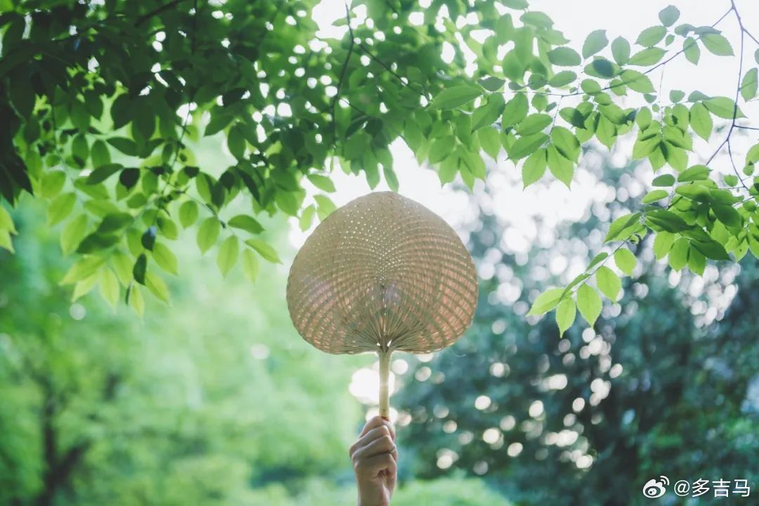 这是一个意义稀缺的时代，很多人找不到精神支点，只能靠短暂的娱乐填补空洞。    