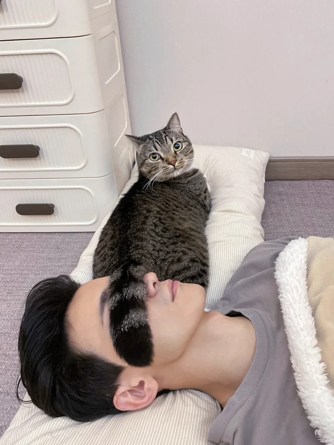 不是眼罩买不起，而是猫尾更有性价比