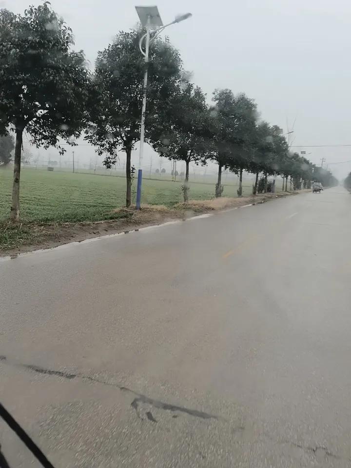 今天天气阴沉的很[大笑]