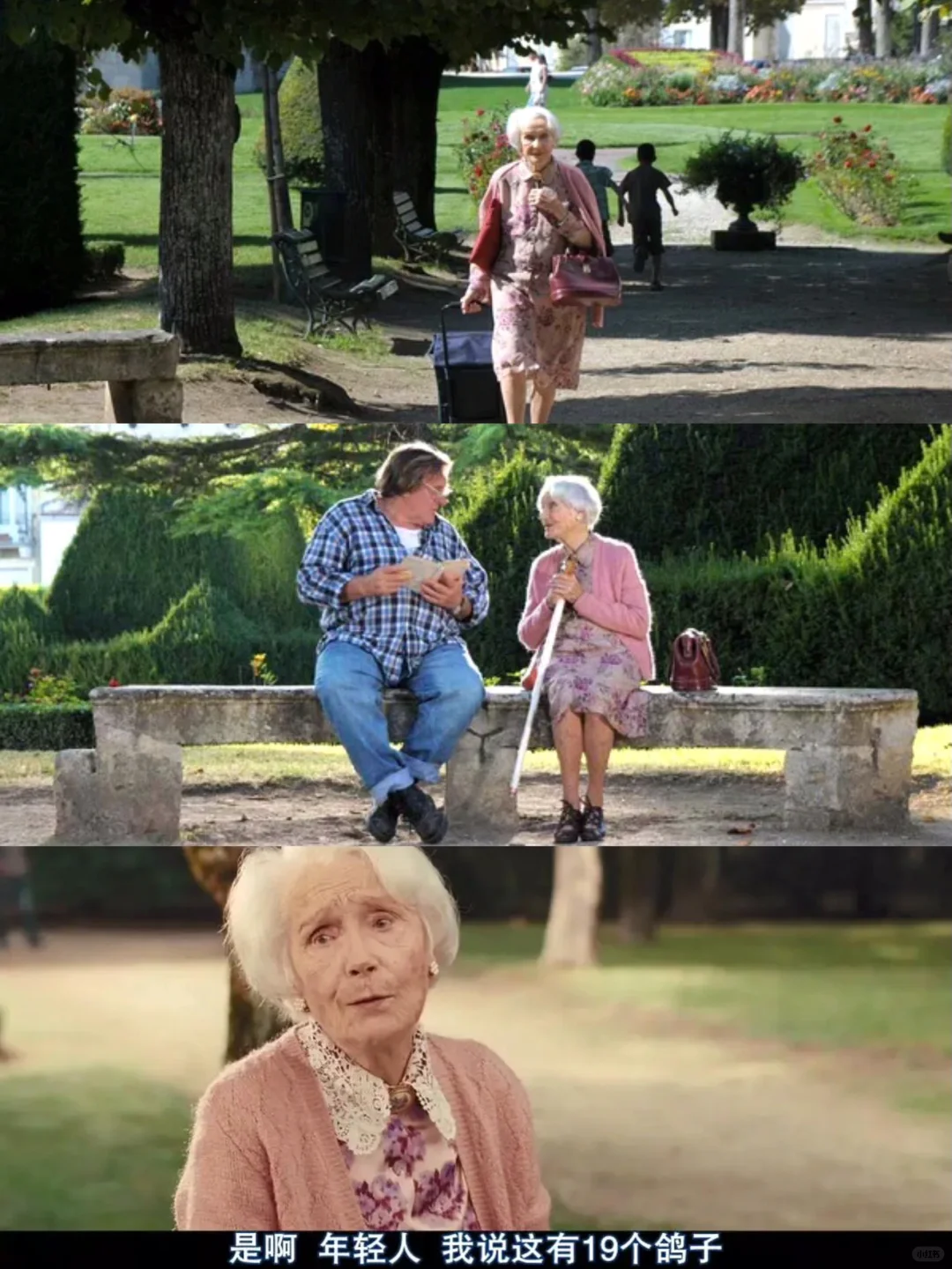 豆瓣9.1🔥不愧是治愈心灵的神作