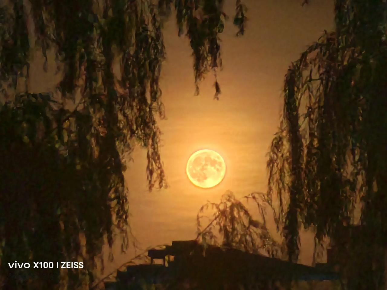  
十五的月亮十六圆
今天大庆的气温柔和，不冷不热，昨天和今天共拍了十八张圆月，