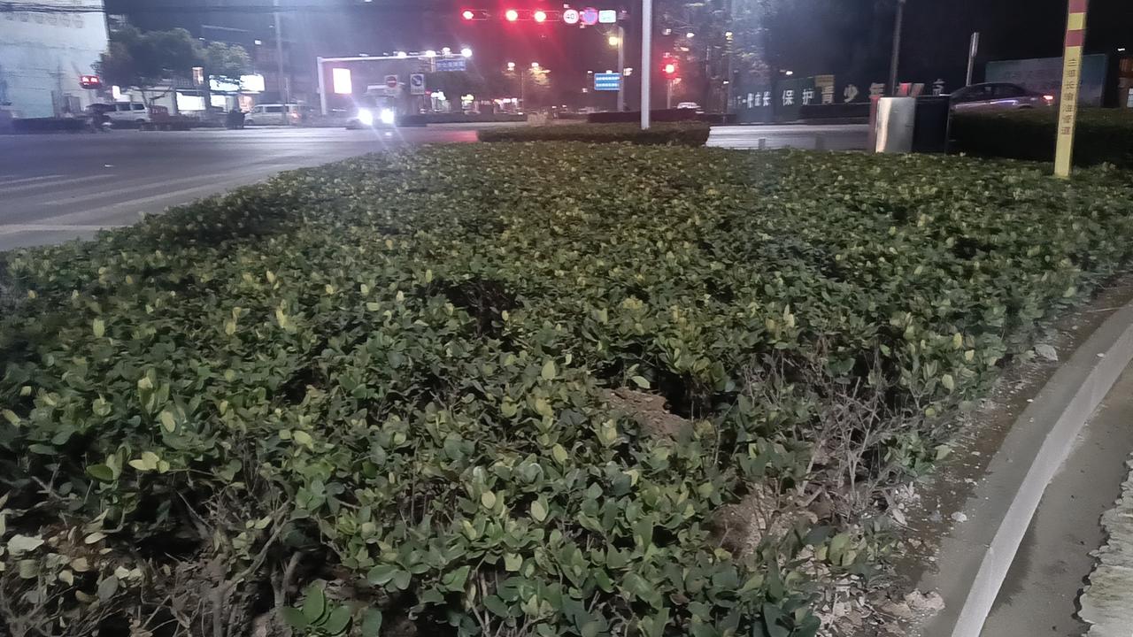 善良，首先让你拥有一颗纯净的心。在这个充满纷扰和浮躁的世界里，善良像一面镜子，反