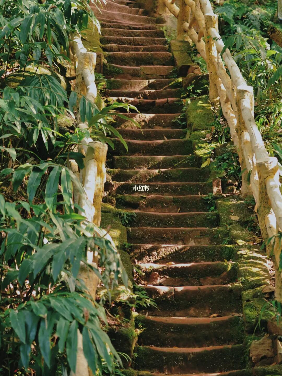 成都周边徒步｜清凉+萤火虫 苏轼恋爱地