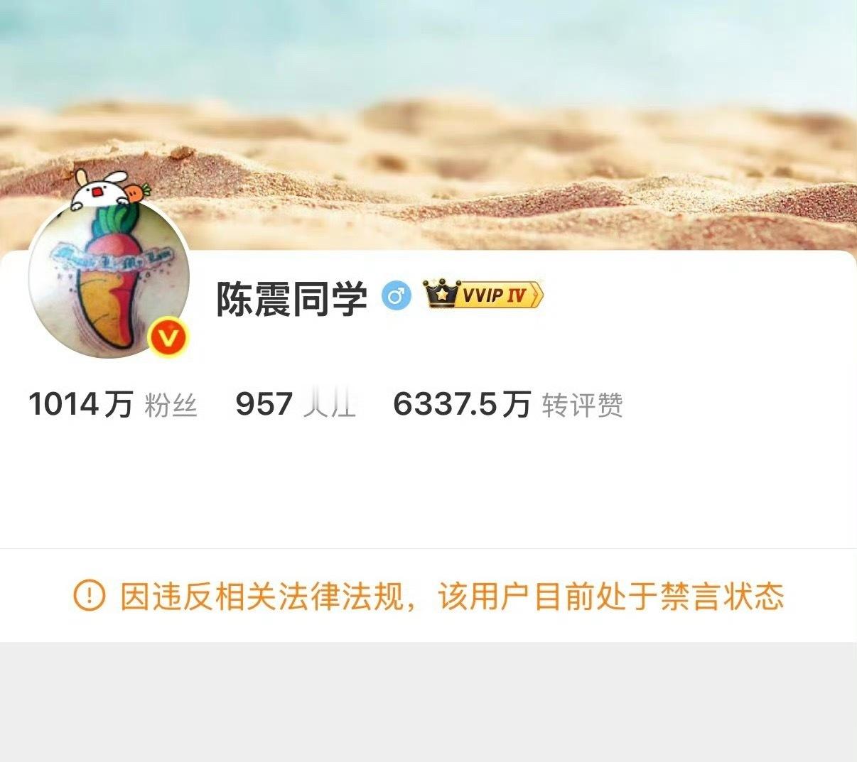 陈震偷税案下半年接连出事，其实就有一些征兆了，以前内容还挺好看的，后面为了流量，