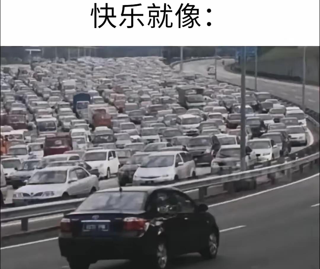 好家伙，这也太快乐了吧[狗头]