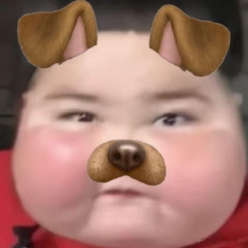 我一直在笑爱你老氧！ 