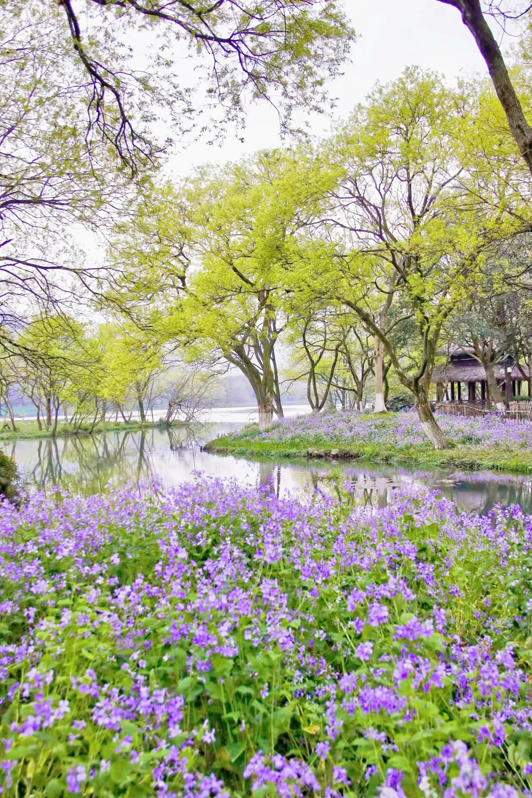 以为西湖已经够美了，直到我去了这…