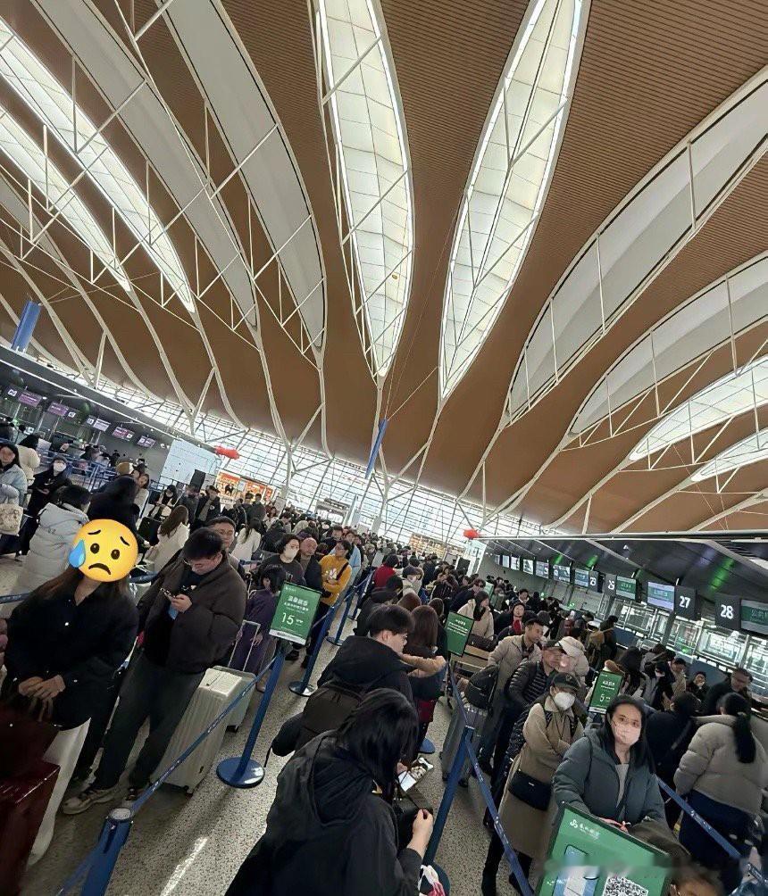 在中国的日本人，
之所以不走，
不是因为走不了，而是压根儿就
没想走，别以为他们