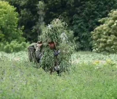 北约国家也开始招募有经验的乌军士兵前往外国进行教学，毕竟能够在战场上活下来的乌军
