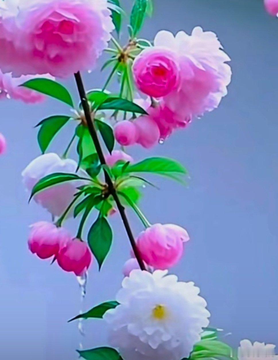 今天是进入十一月以来，A股大盘走得最好的一天;  东方财富App显示的10项指数