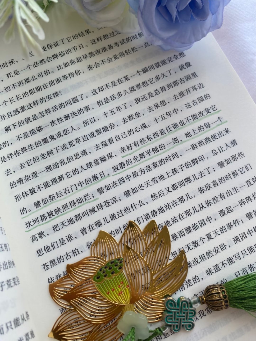 读完这本书，我彻底戒掉了精神内耗✨ 