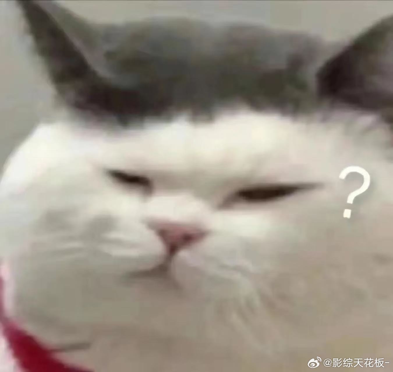 当代大学生的毕业现状为求一份稳定工作扎堆考编考公，热门岗位千人竞争，一边内卷一边