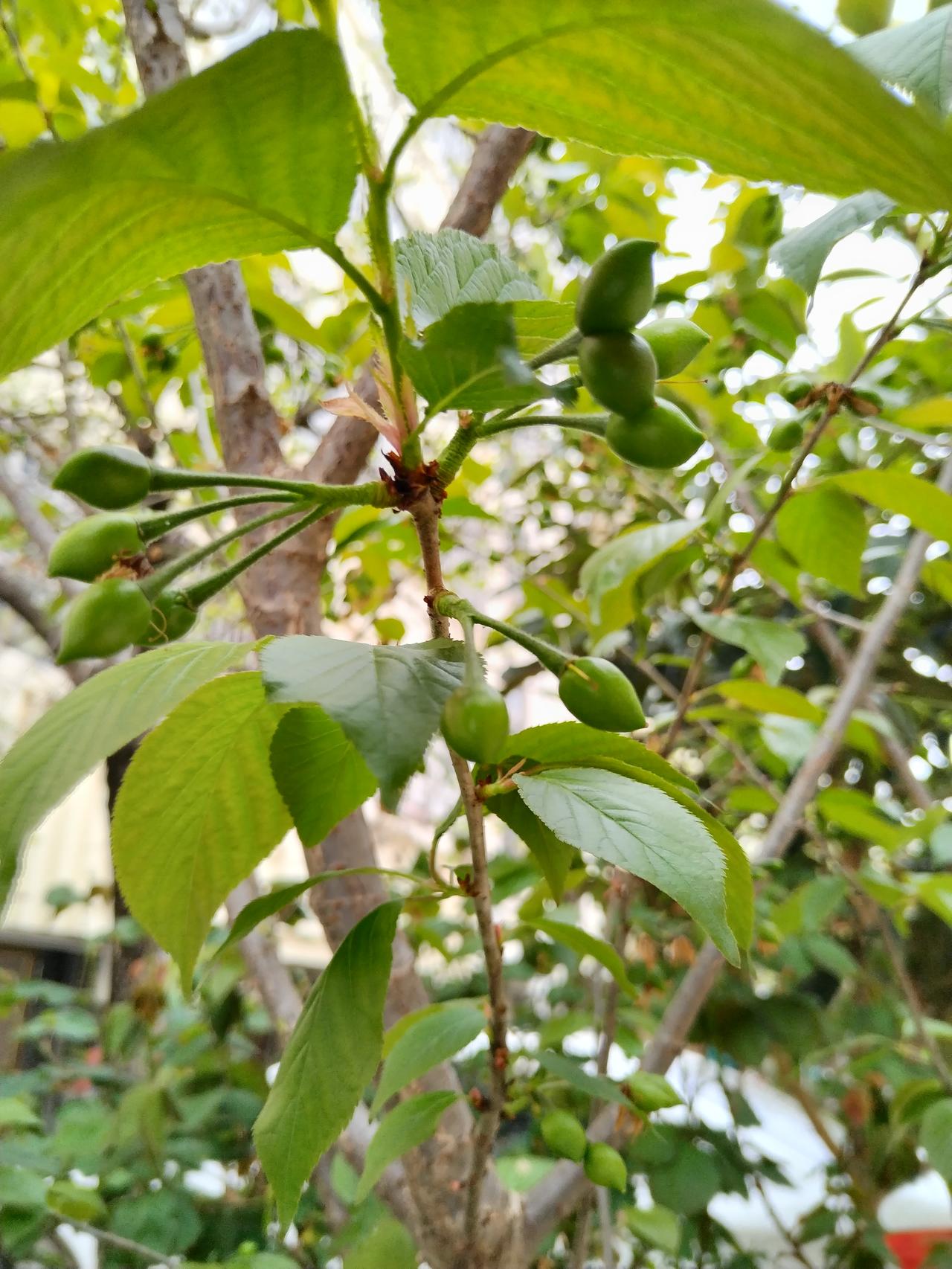 【趣联联趣】
上联：亲民，从心自助非凡事
下联：？
【一字千金】
《行歌·其二》