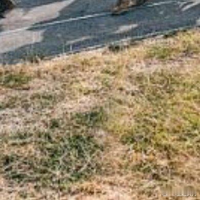 早安我的中国早安，老兵！国泰民安，是我们共同的心愿；岁月静好，是我们曾经的守护。