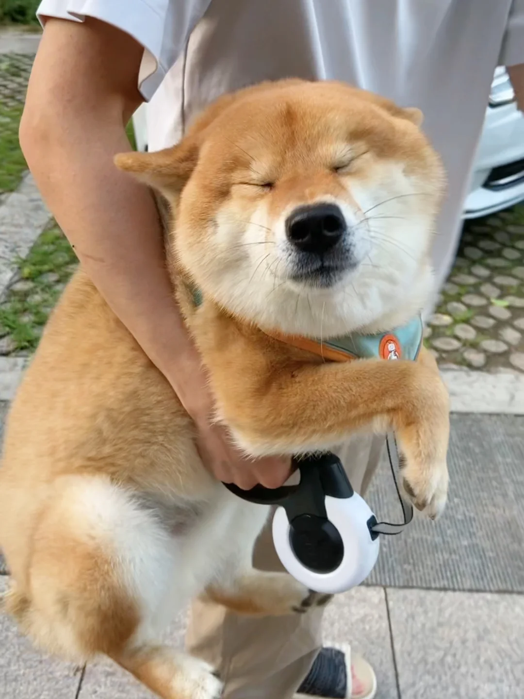我不要面子的吗