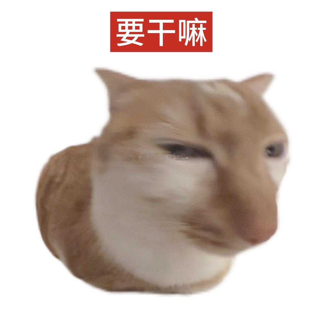 所有女孩答应我，都不要患上恋丑癖好吗？ 