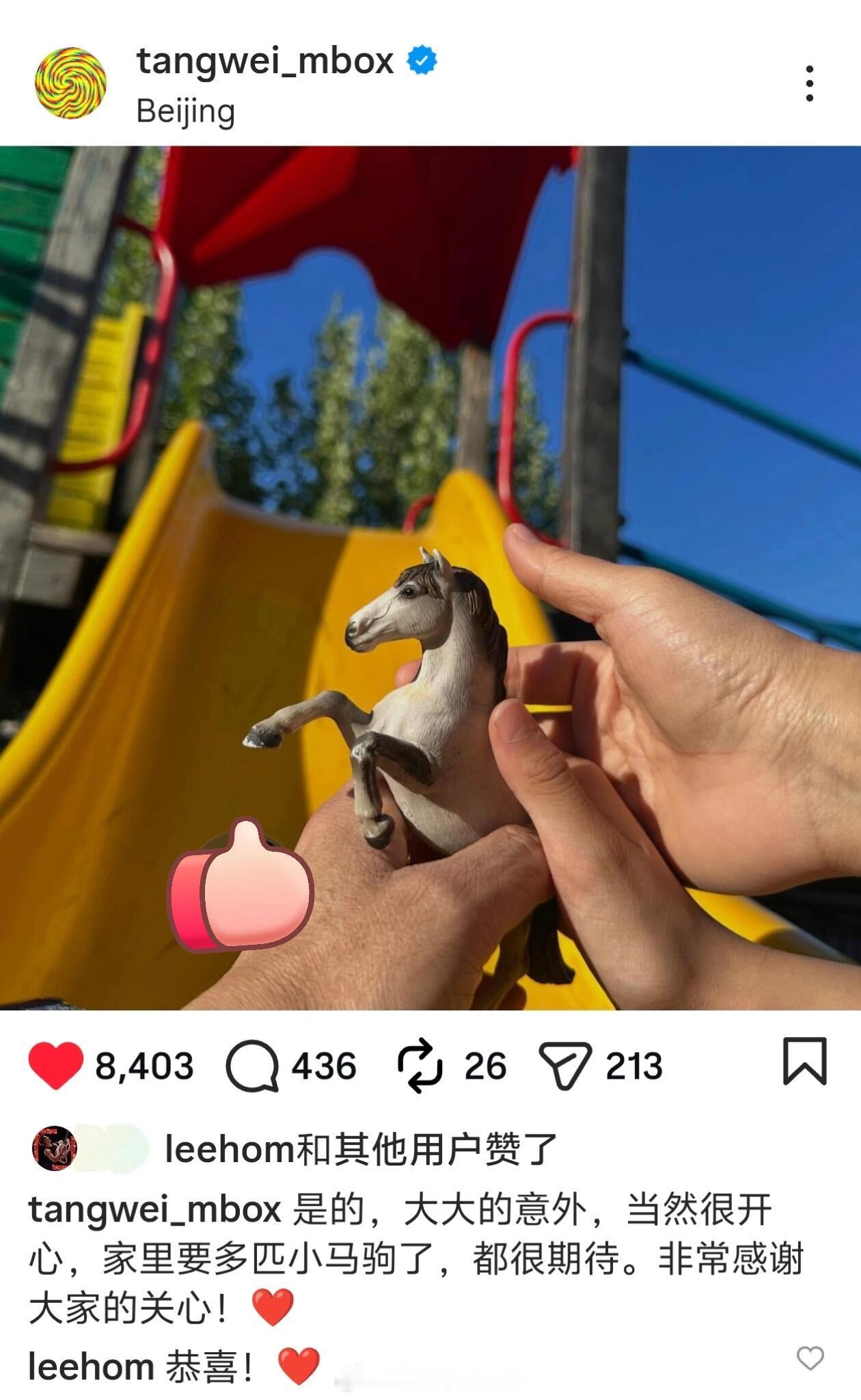 王力宏恭喜汤唯怀二胎王力宏恭喜汤唯二胎 王力宏恭喜汤唯怀二胎，哇！ 