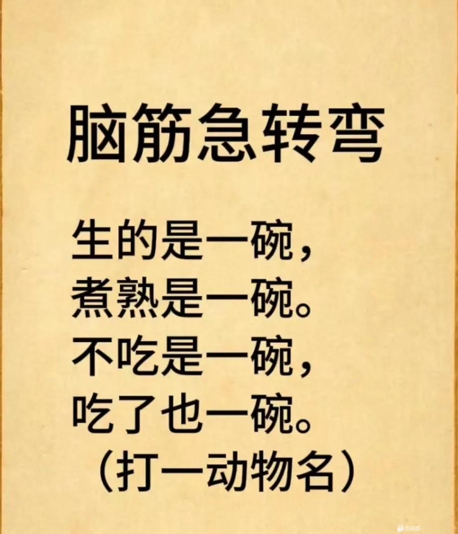 打一个动物名字