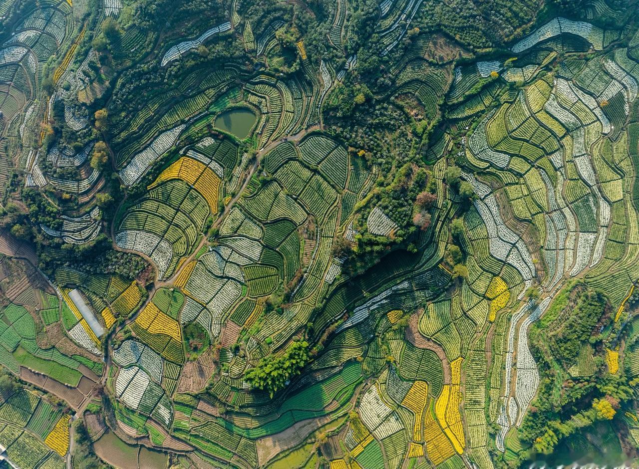 和美绩溪早安绩溪 早安，降温了注意保暖哦