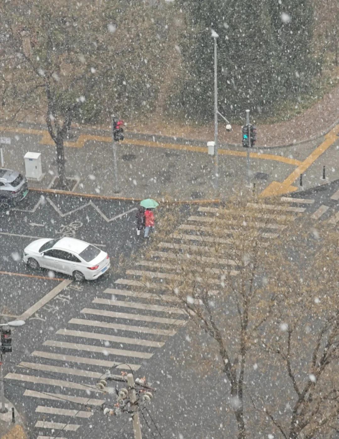 老天奶，现在海淀下这么大雪
今年的雪是真多啊，3月4日坐标海淀。一觉醒来我的城市