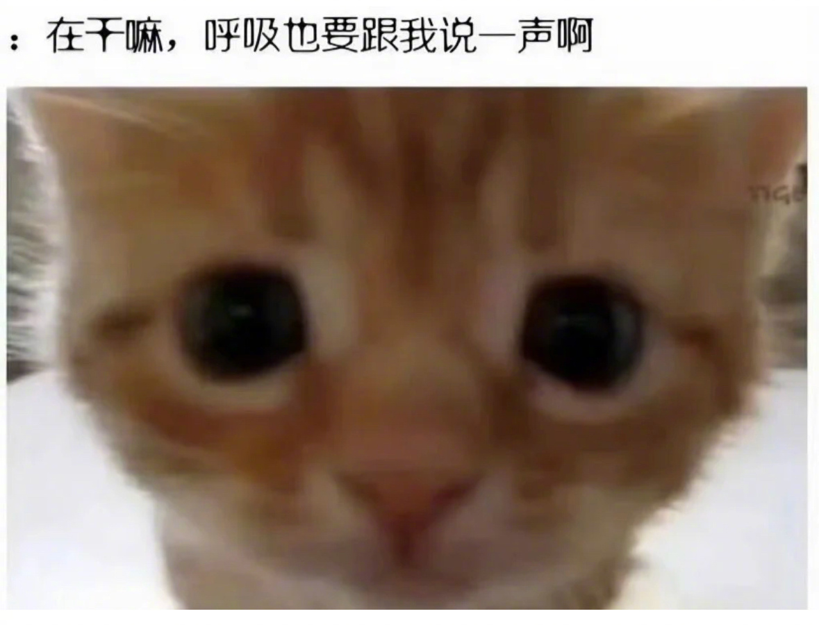 猫暗恋人时候…… 