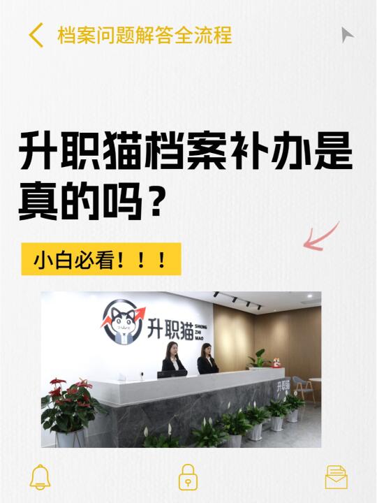 升职猫档案补办是真的吗？一篇给你讲清楚！
