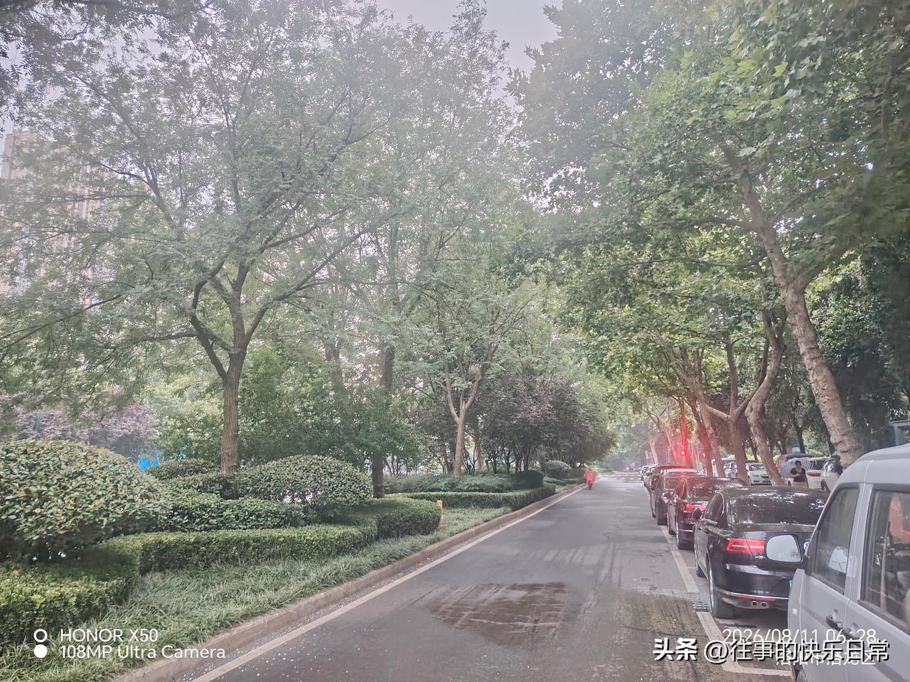 你觉得做家务能替代运动吗我觉得做家务不能代替运动