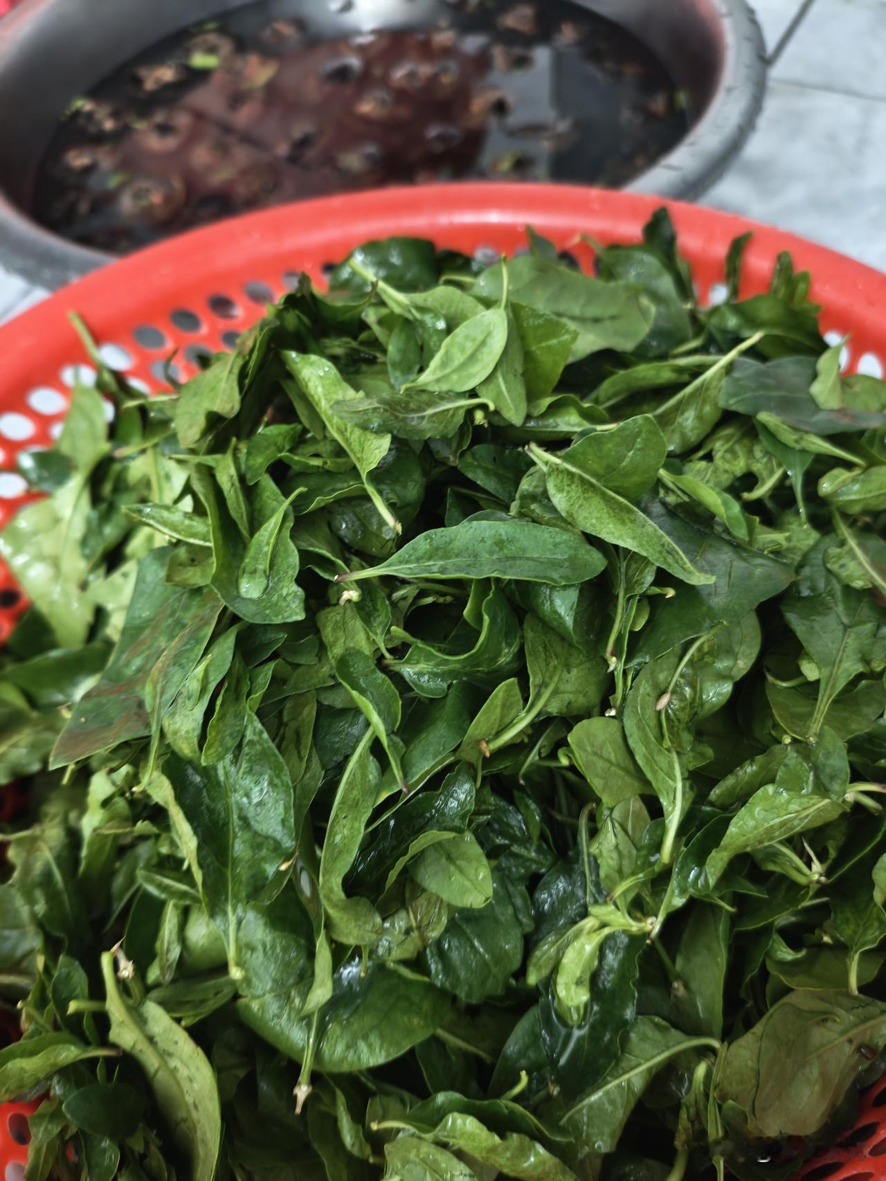 今天早上我去菜市场买菜的时候，因为去的比较晚，菜市场临时摆摊的摊面基本上都收光了