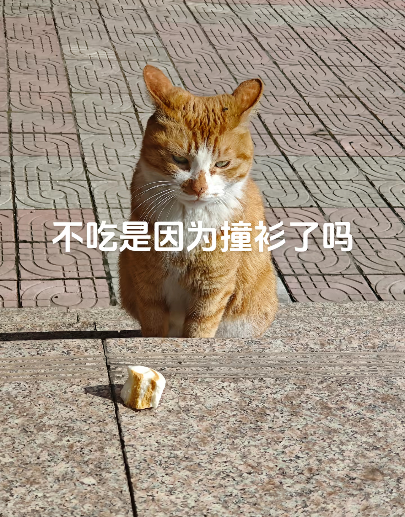 不吃是因为撞衫了吗 ​​​
