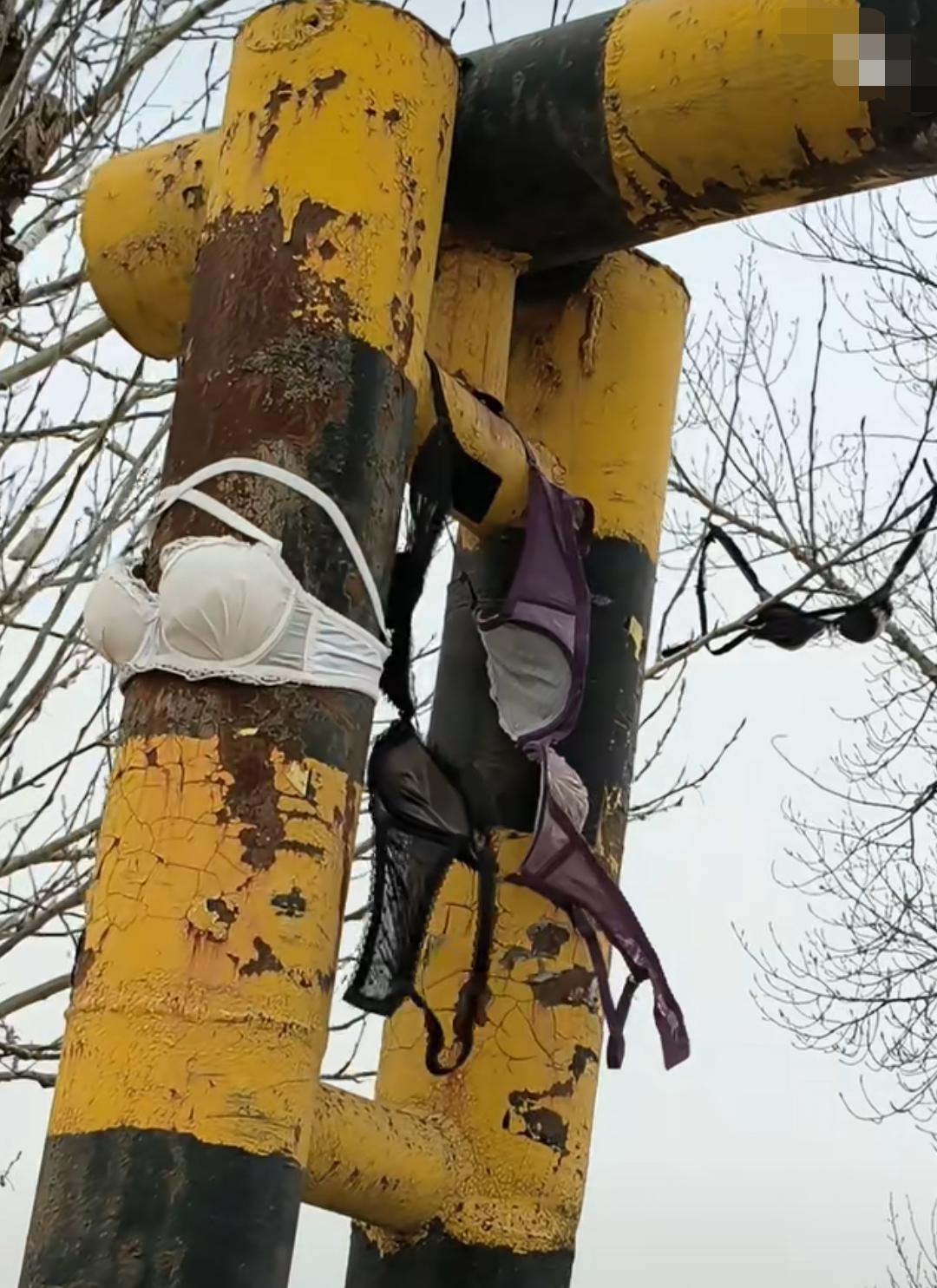 这限高杆是啥情况？[震惊]