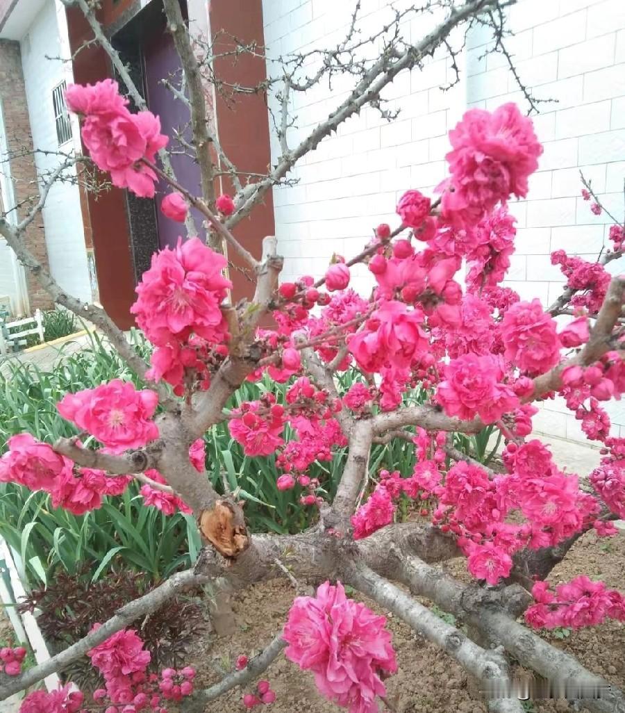 “生而悦己，而非困与他人。”

说的轻巧，真正要做到一个置身事外的人，很难。
