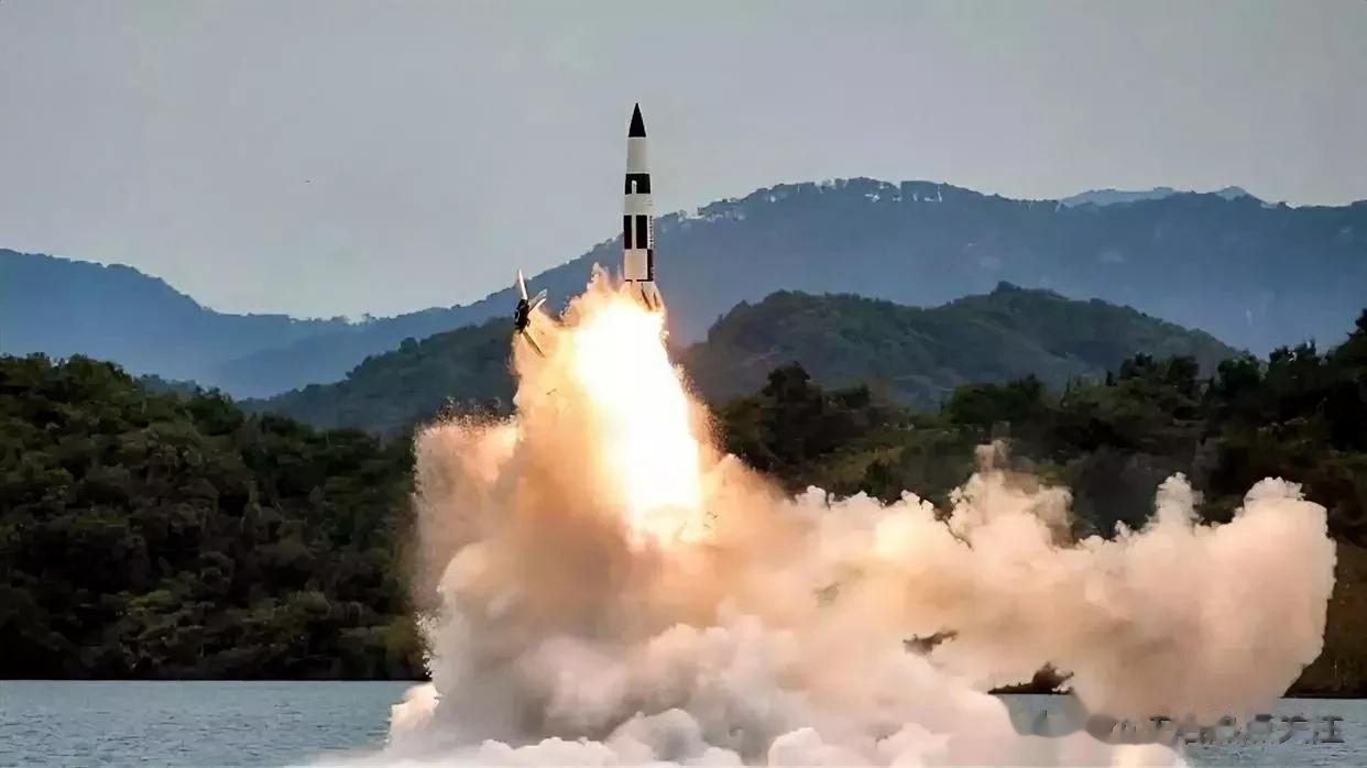 俄大使：朝鲜导弹试射并未对俄罗斯远东地区构成威胁

来源:俄罗斯卫星通讯社

俄