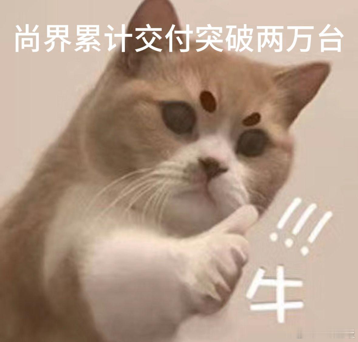 一直关注尚界，没想到它这么能打！上市43天就交付破万，累计交付超2万台，轻松刷新