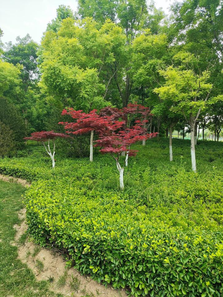 济南华山湖简直是夏日宝藏打卡地！这里历史悠久，是“齐烟九点”之一，平地凸起的华山