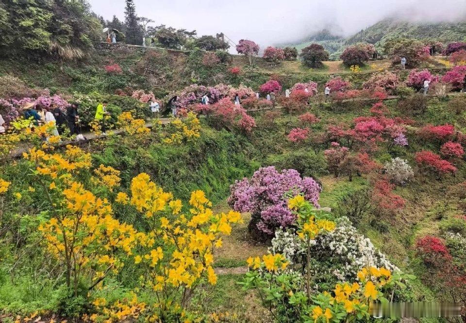 a股深证指数，创业板指数，继沪指十年新高之后，目前也都是十年新高！还能说不是牛市