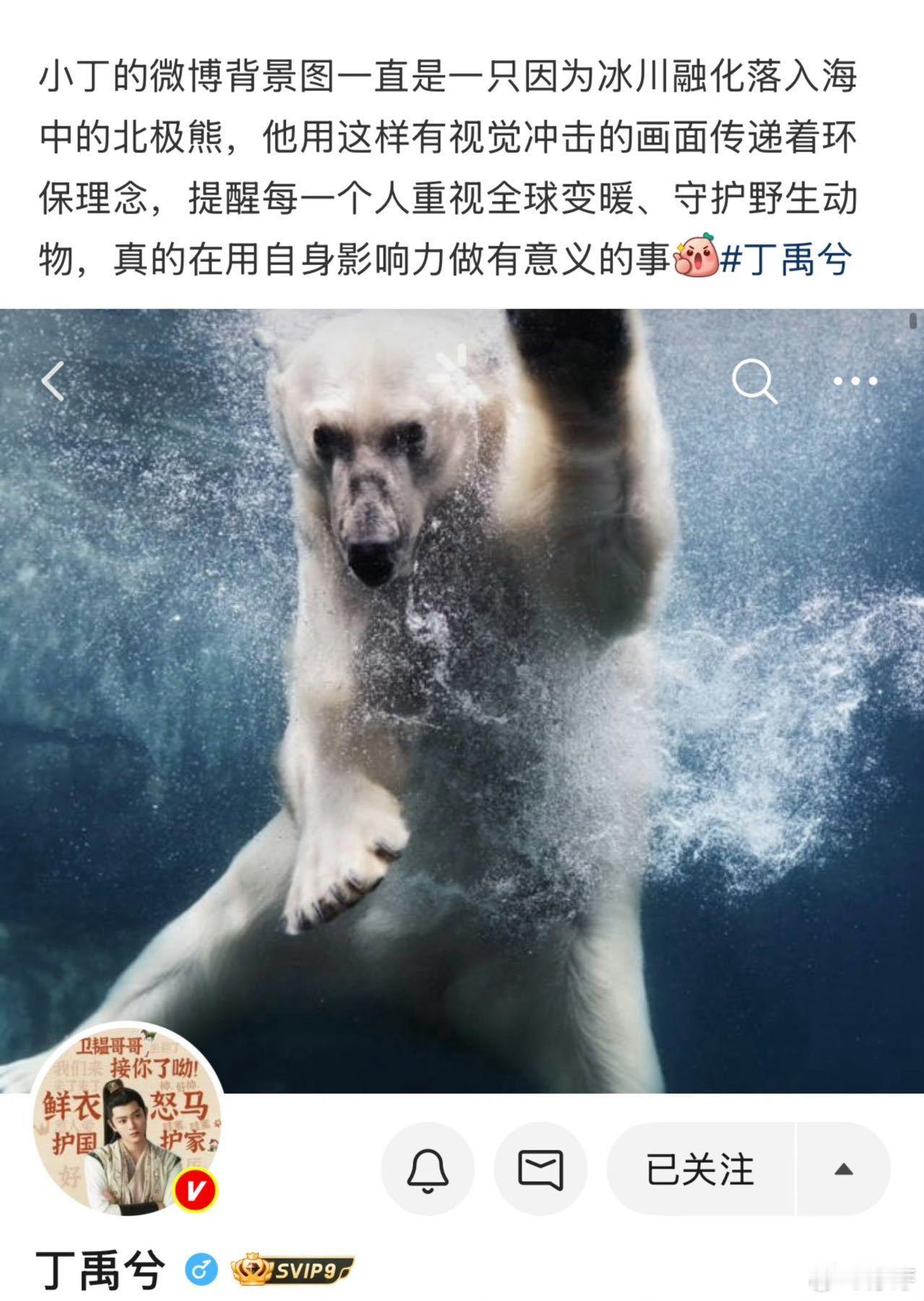 谁被这份责任担当圈粉？褪去荧幕光环，他以普通青年身份务实发声，格局拉满～ 