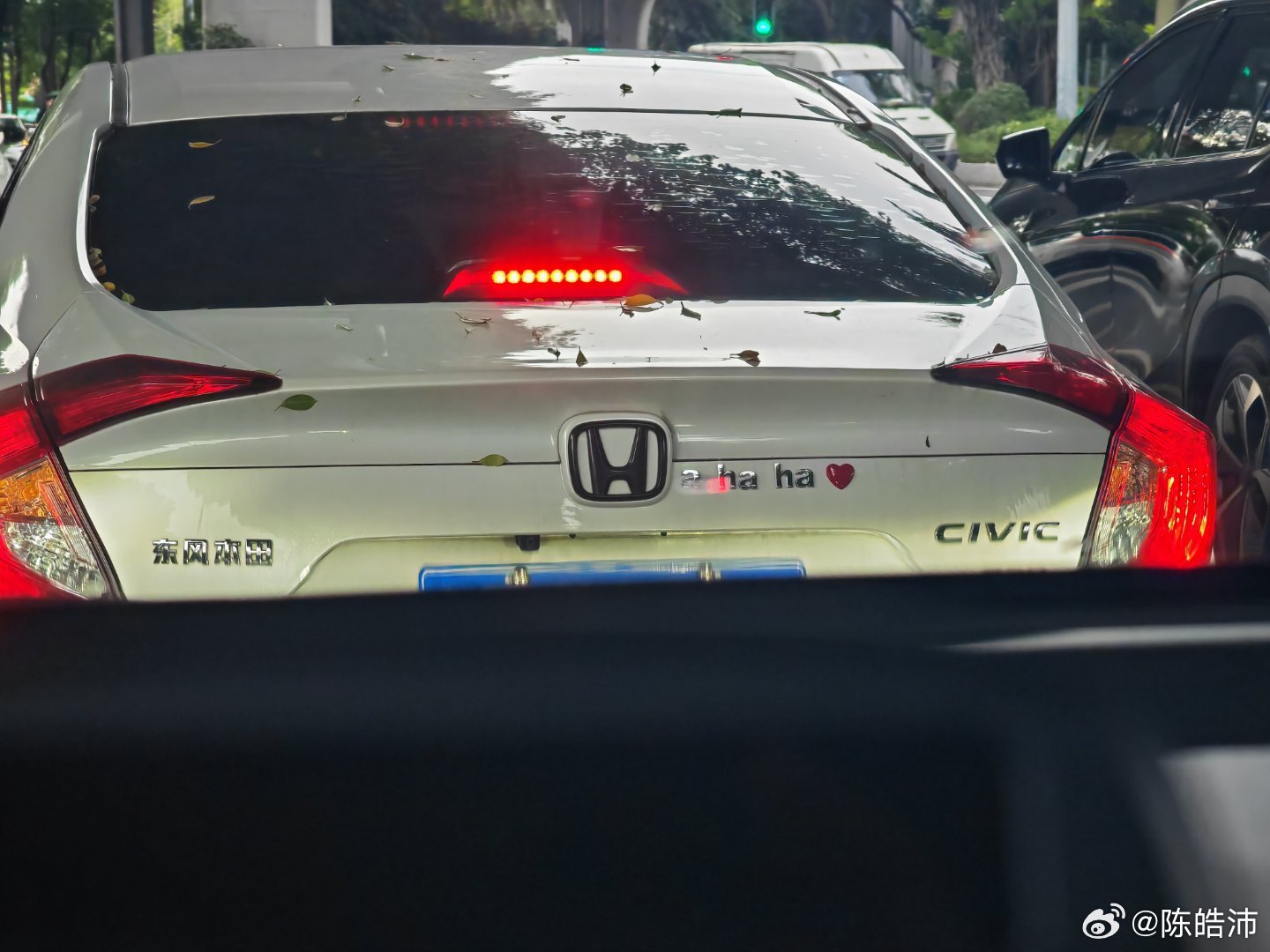 想不到啊，放下了手机还能看到这毫无感情的hahaha[笑cry]车尾文学家 ​​