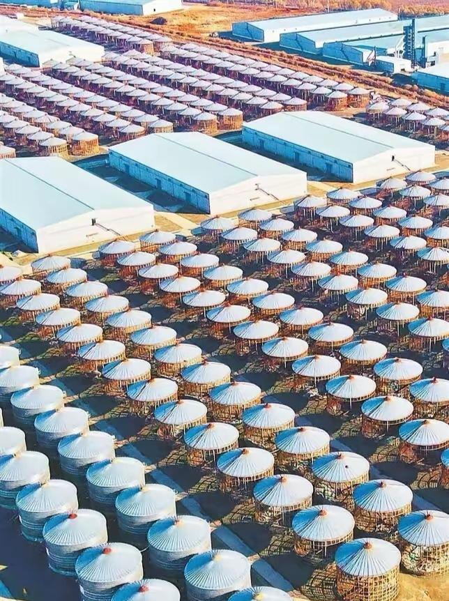 天下虽安，忘战必危！中国的粮食储备，悄然提升到18个月。


这18个月的意思是